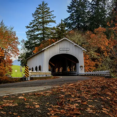 Lane County